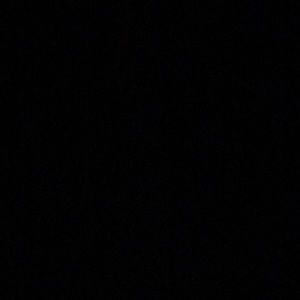 Meet your Posher, Lily